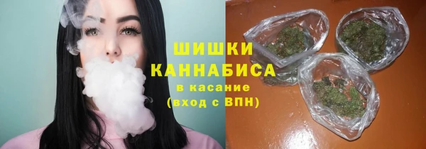 молекула духа Арсеньев