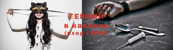 молекула духа Арсеньев