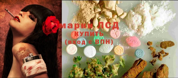 молекула духа Арсеньев