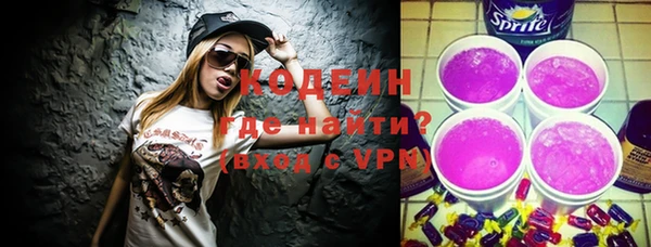 молекула духа Арсеньев
