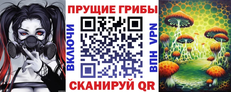 Псилоцибиновые грибы мухоморы Купить Тетюши